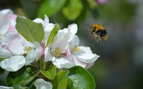 小学三八妇女节活动总结-春林公文网