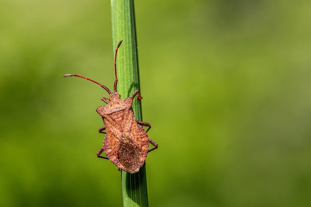 关于认识错误思想汇报