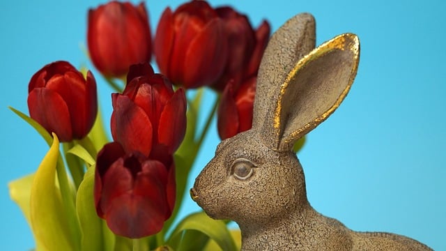 演讲比赛闭幕词