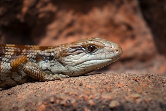 幼儿园中班中秋节亲子灯笼活动总结