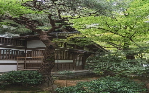 17年入党申请书格式范文-春林公文网