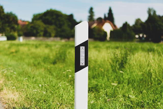 岗位的竞聘报告