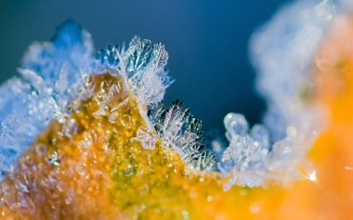 送亲人的圣诞节微信祝福-春林公文网