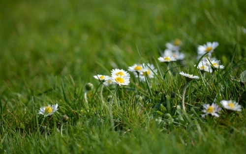 先进性教育剖析材料-春林公文网