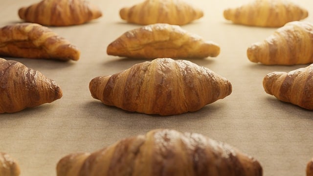 医院药品及疫苗自查报告范文精选3篇2021