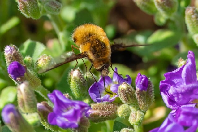 办系统2017年开展作风建设突出问题专项治理总体方案