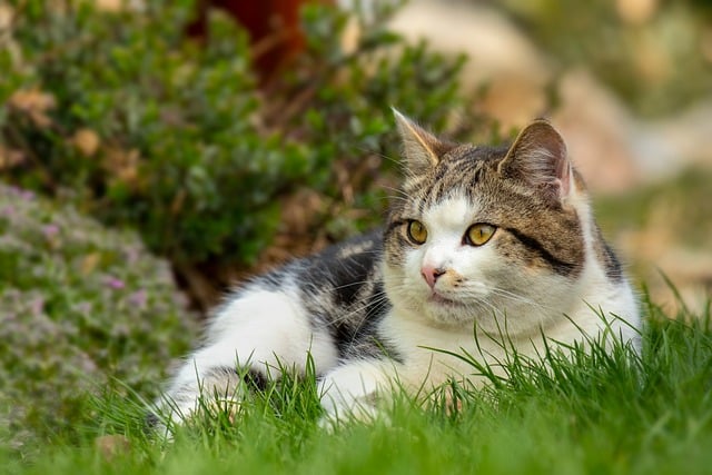 六一童心筑梦志在未来活动总结 关于童心筑梦的六一主题活动总结五篇