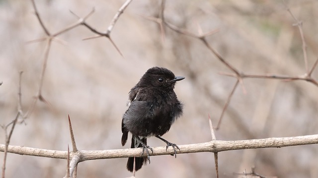 海外商务礼仪的大杂谈