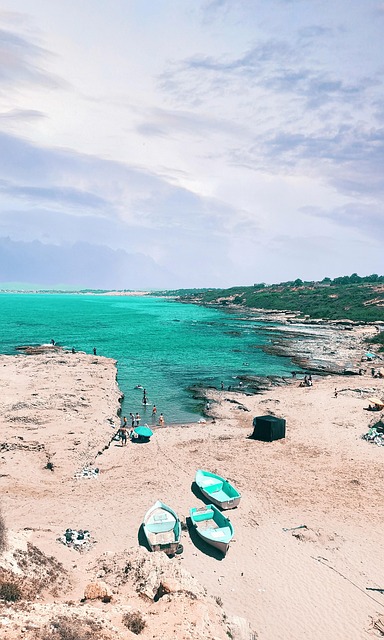 社会道德社会公德调查报告