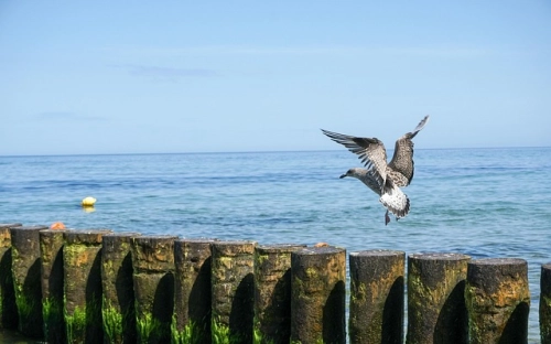 2022管理工作下半年工作计划 管理人员下半年工作计划精选5篇-春林公文网