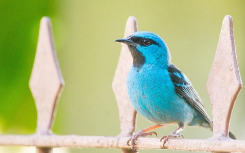 祭扫烈士墓发言稿-春林公文网