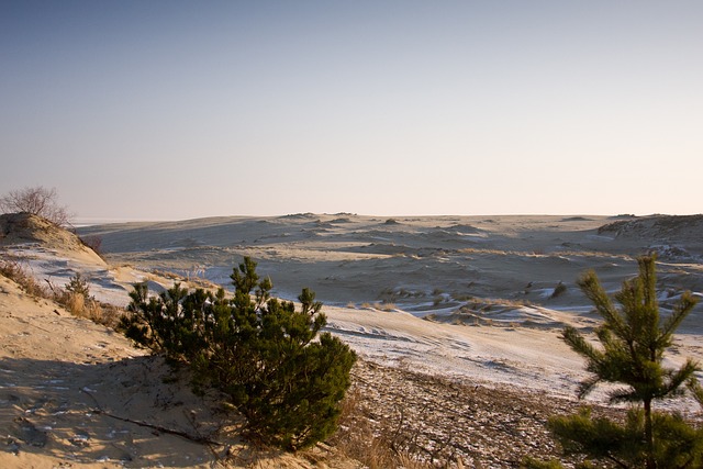 最新全民国家安全教育日标语汇编