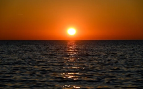 园林阳光社区2003年党建先进党支部申报材料-春林公文网