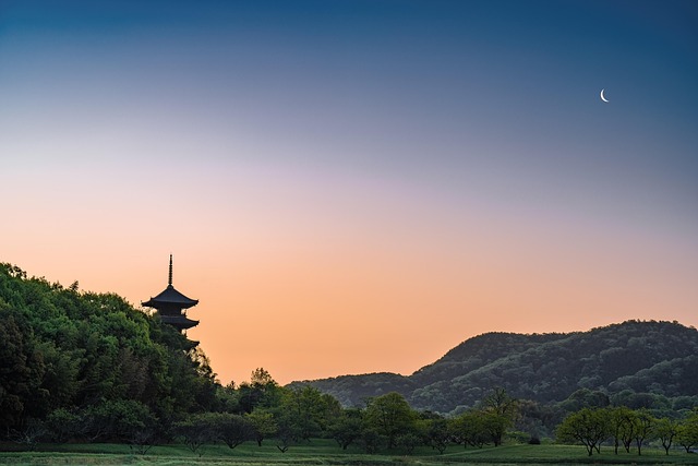 父亲节的祝福语