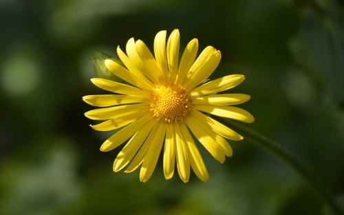 先进性教育领导班子存在问题和整改措施-春林公文网