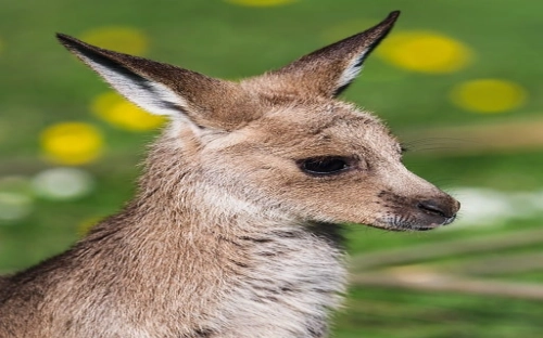 教师节的倡议书7篇-春林公文网