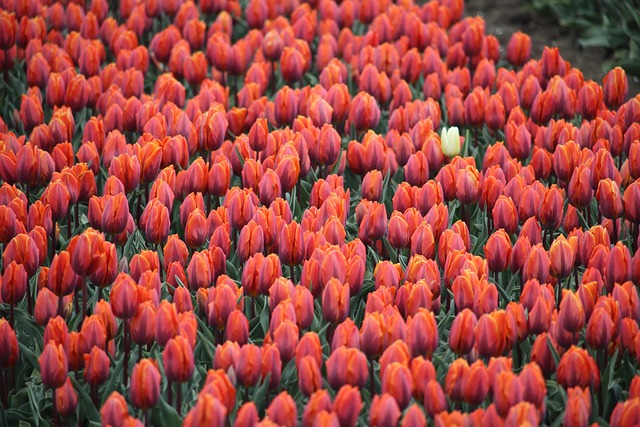 医院临床工作个人总结范文 医院临床工作个人总结简短