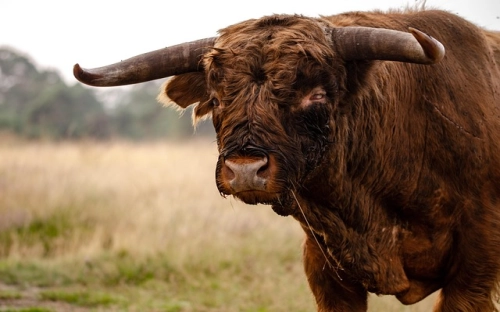 2011年暑期物理活动课总结-春林公文网