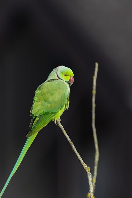 学雷锋日活动总结