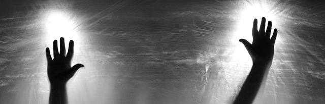 感恩节演讲稿《感恩的行动》