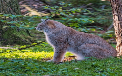 国庆节搞怪祝福语-春林公文网