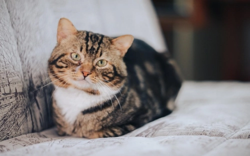 原创交通警示语-春林公文网