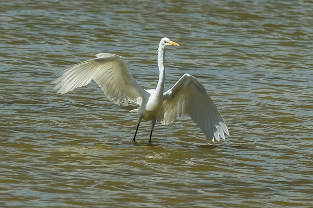 中学第七周学校工作计划
