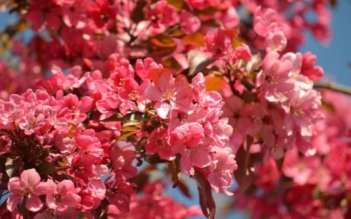 高二年级期中考试前工作计划-春林公文网