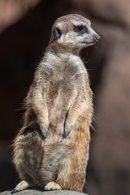 广东省市场监管条例