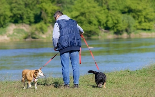 节庆纪念用稿   “七一”颂歌(板报用)-春林公文网