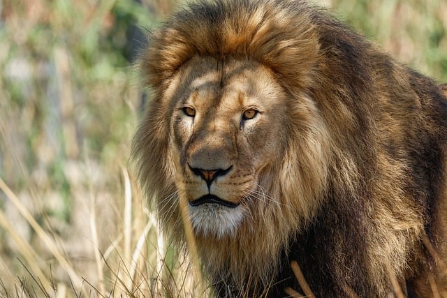 暑期志愿者支教活动总结