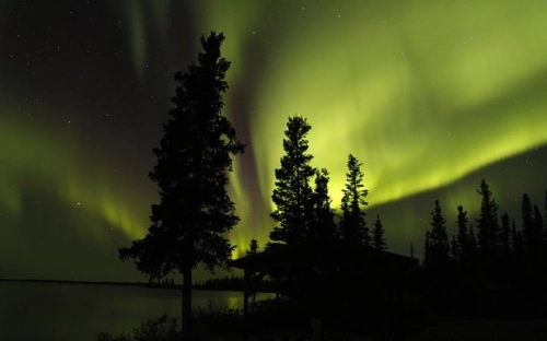 西北地区生态培训考察报告-春林公文网