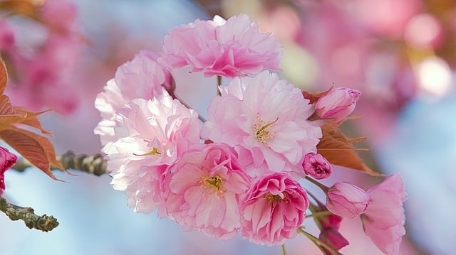 教师节的邀请函