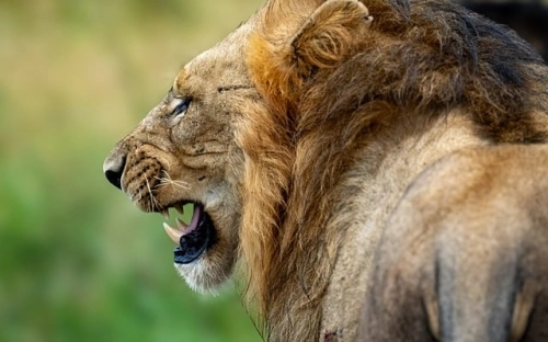 最新预备党员转正申请书范文之三-春林公文网