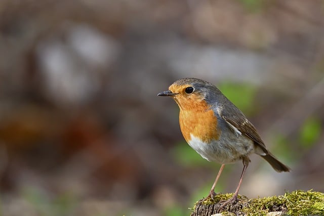 小额贷款宣传口号