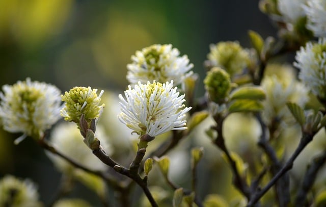 主持人节目精彩串词范本
