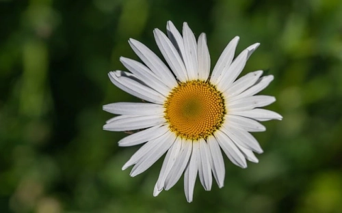 出纳人员个人年终工作总结-春林公文网