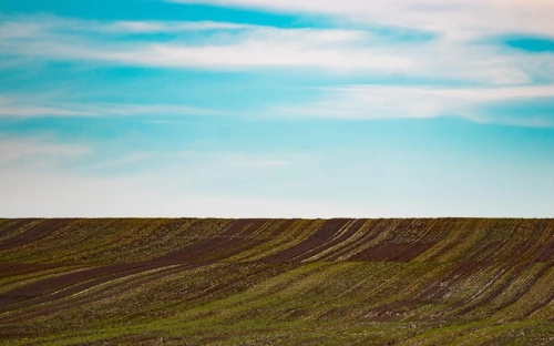 党支部党史教育阶段性总结 党史教育阶段性工作汇报2021-春林公文网