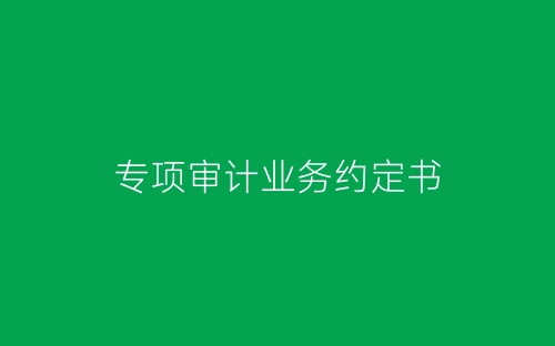 专项审计业务约定书-春林公文网