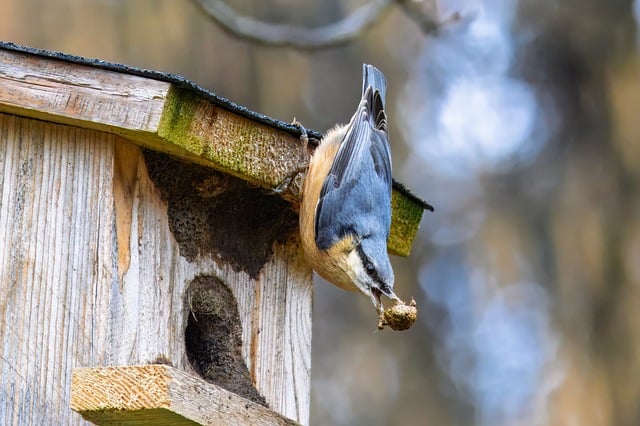 建设工程勘察合同