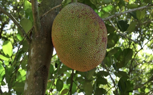 跟岗教师工作总结-春林公文网