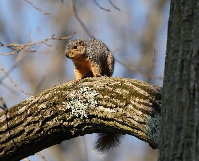 中国电源行业推荐产品证书和标志使用协议书