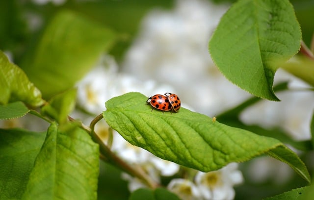 在全区安全生产暨消防安全讲话