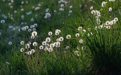 大学法学院年度学生工作总结-春林公文网