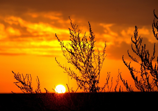 微信早安问候语经典