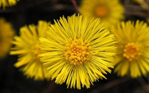 2008优秀党支部申报材料-春林公文网