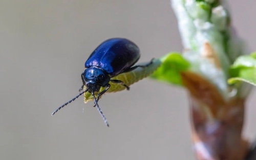 宿舍卫生管理规章制度-春林公文网