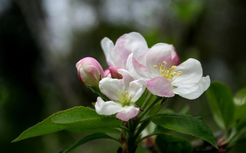 课题研究开题报告-春林公文网