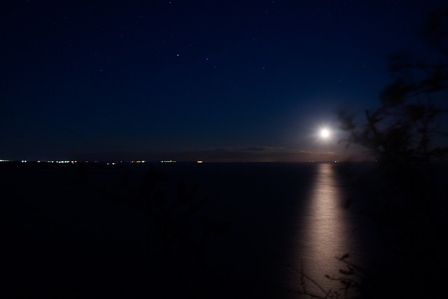 2021重阳节祝福语摘抄精选最新