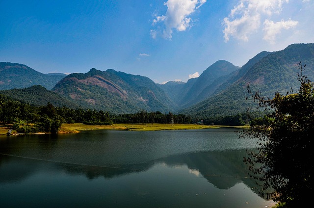 新春团拜会文艺演出串词